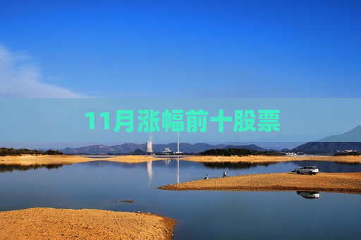 11月涨幅前十股票 第1张 11月涨幅前十股票 第1张