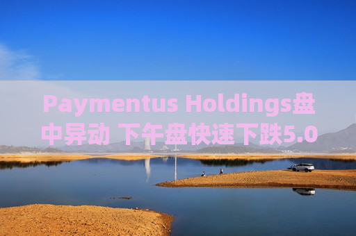 Paymentus Holdings盘中异动 下午盘快速下跌5.03%