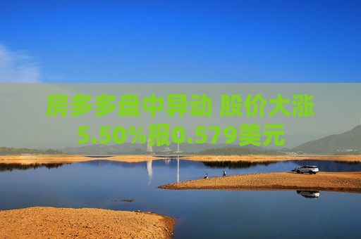 房多多盘中异动 股价大涨5.50%报0.579美元