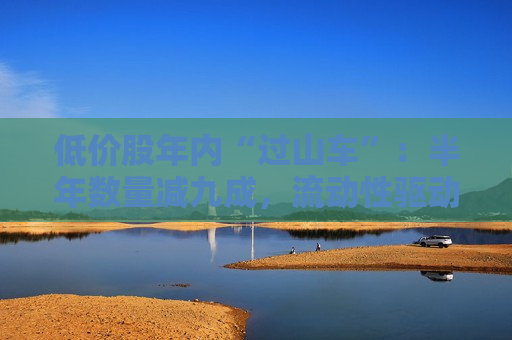 低价股年内“过山车”：半年数量减九成，流动性驱动个股狂飙