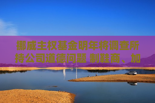 挪威主权基金明年将调查所持公司道德问题 制鞋商、加密公司、博彩运营商或面临撤资  第1张