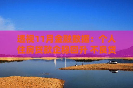 透视11月金融数据：个人住房贷款企稳回升 不良贷款核减加快、地方化债力度加大影响信贷存量
