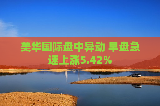 美华国际盘中异动 早盘急速上涨5.42%