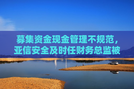 募集资金现金管理不规范,亚信安全及时任财务总监被上交所予以监管警示 第1张 募集资金现金管理不规范,亚信安全及时任财务总监被上交所予以监管警示 第1张