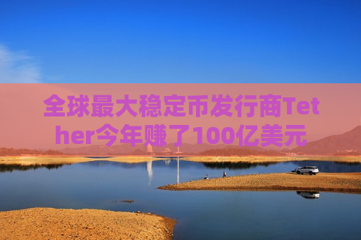 全球最大稳定币发行商Tether今年赚了100亿美元 第1张 全球最大稳定币发行商Tether今年赚了100亿美元 第1张