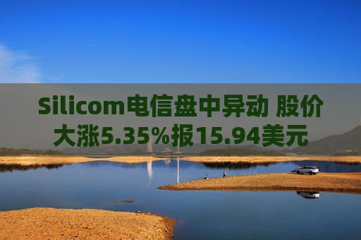 Silicom电信盘中异动 股价大涨5.35%报15.94美元  第1张