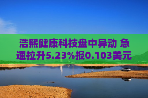 浩熙健康科技盘中异动 急速拉升5.23%报0.103美元