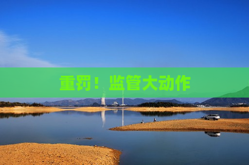 重罚！监管大动作