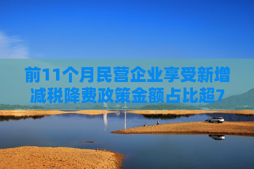 前11个月民营企业享受新增减税降费政策金额占比超70%