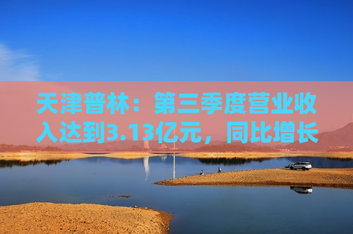 天津普林：第三季度营业收入达到3.13亿元，同比增长127.72%  第1张