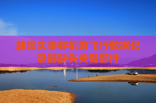 韩国失事客机的飞行数据记录器缺失关键部件  第1张