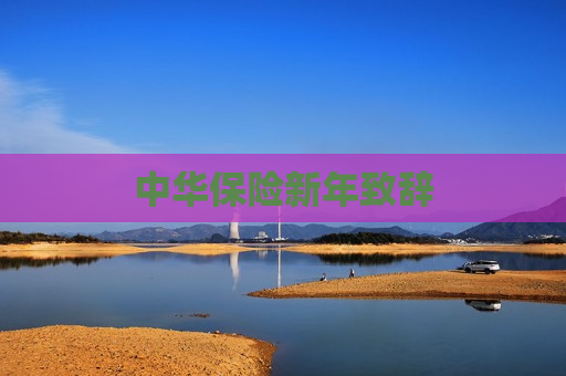 中华保险新年致辞