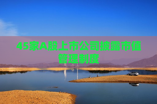 45家A股上市公司披露市值管理制度  第1张