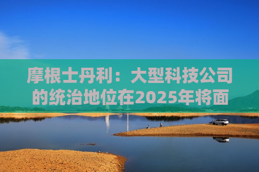 摩根士丹利：大型科技公司的统治地位在2025年将面临危险  第1张