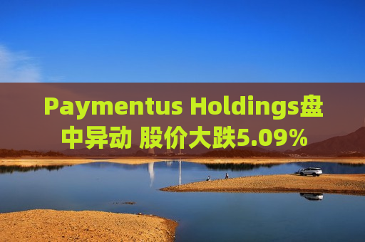 Paymentus Holdings盘中异动 股价大跌5.09%  第1张