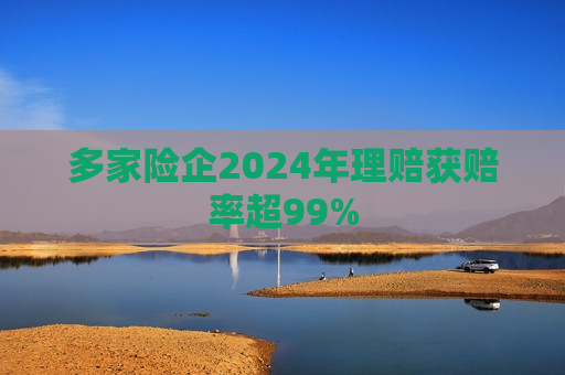 多家险企2024年理赔获赔率超99%