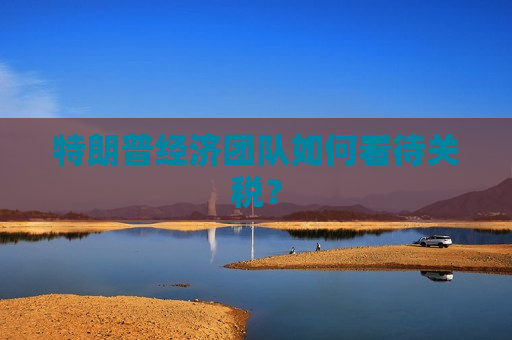 特朗普经济团队如何看待关税？  第1张
