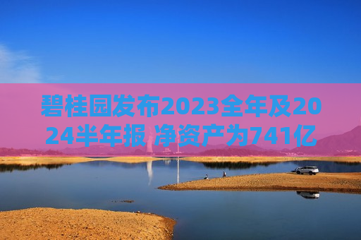 碧桂园发布2023全年及2024半年报 净资产为741亿元