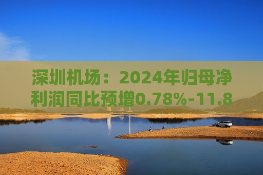 深圳机场：2024年归母净利润同比预增0.78%-11.88%  第1张