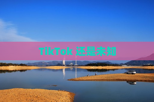 TikTok 还是未知