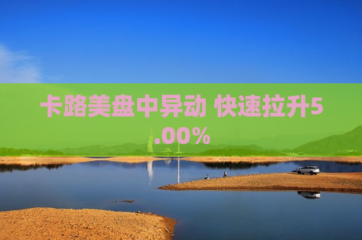 卡路美盘中异动 快速拉升5.00%  第1张