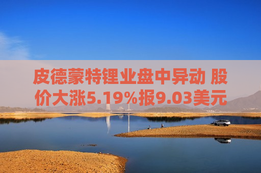 皮德蒙特锂业盘中异动 股价大涨5.19%报9.03美元 第1张 皮德蒙特锂业盘中异动 股价大涨5.19%报9.03美元 第1张