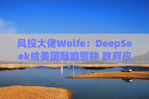 风投大佬Wolfe：DeepSeek给美国敲响警钟 政府应加大投资  第1张