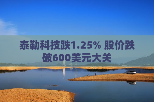 泰勒科技跌1.25% 股价跌破600美元大关
