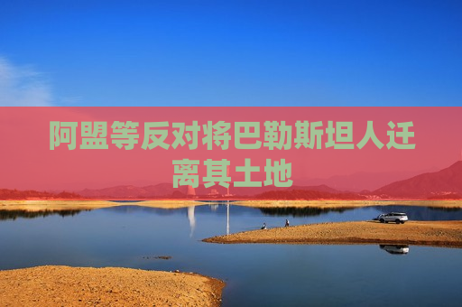 阿盟等反对将巴勒斯坦人迁离其土地