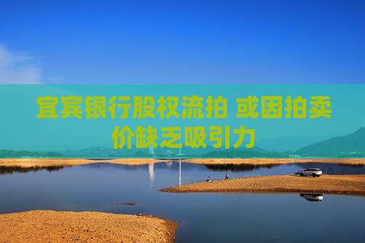 宜宾银行股权流拍 或因拍卖价缺乏吸引力