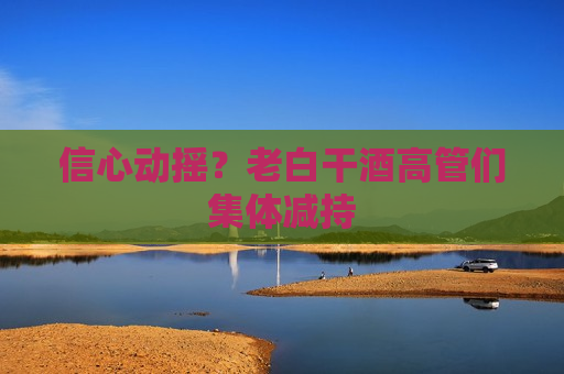 信心动摇?老白干酒高管们集体减持 第1张 信心动摇?老白干酒高管们集体减持 第1张