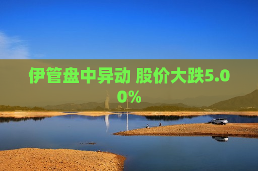 伊管盘中异动 股价大跌5.00%