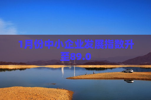 1月份中小企业发展指数升至89.0 第1张 1月份中小企业发展指数升至89.0 第1张