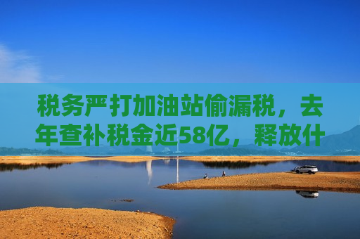 税务严打加油站偷漏税，去年查补税金近58亿，释放什么信号？