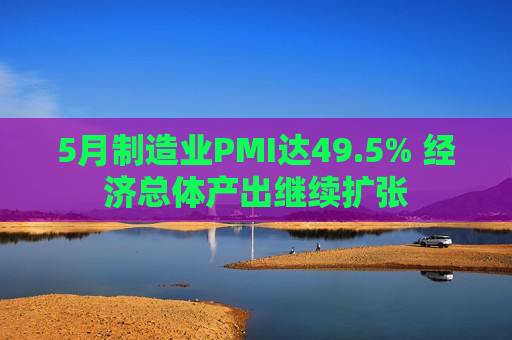 5月制造业PMI达49.5% 经济总体产出继续扩张  第1张