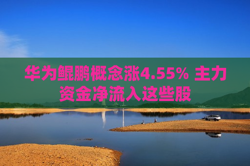 华为鲲鹏概念涨4.55% 主力资金净流入这些股