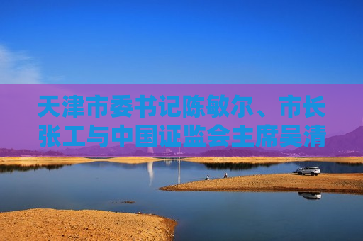 天津市委书记陈敏尔、市长张工与中国证监会主席吴清座谈