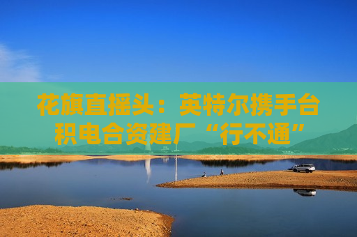 花旗直摇头：英特尔携手台积电合资建厂“行不通”  第1张