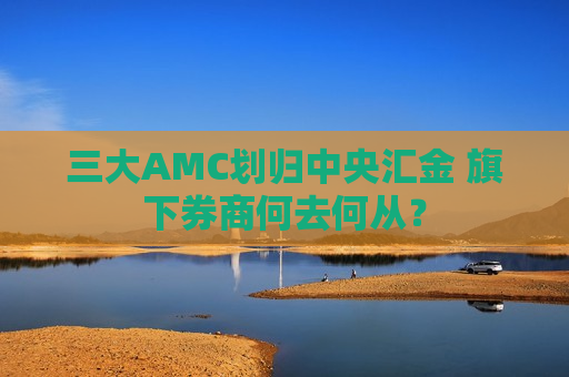 三大AMC划归中央汇金 旗下券商何去何从？  第1张