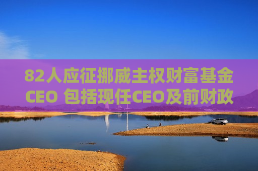 82人应征挪威主权财富基金CEO 包括现任CEO及前财政部副部长  第1张