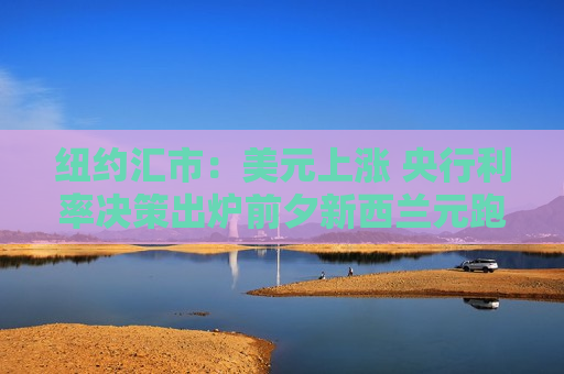 纽约汇市：美元上涨 央行利率决策出炉前夕新西兰元跑输