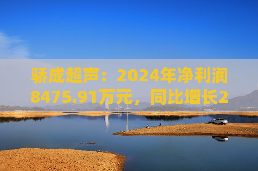 骄成超声：2024年净利润8475.91万元，同比增长27.37%