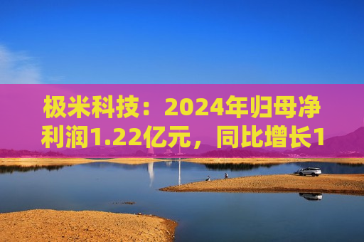 极米科技：2024年归母净利润1.22亿元，同比增长1.14%