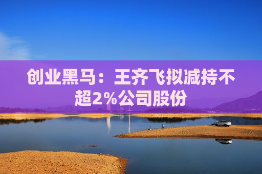 创业黑马：王齐飞拟减持不超2%公司股份  第1张