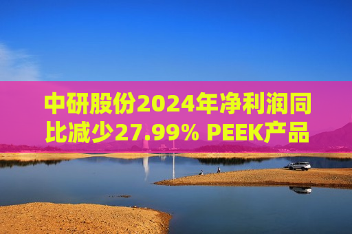 中研股份2024年净利润同比减少27.99% PEEK产品出货量实现小幅增长  第1张