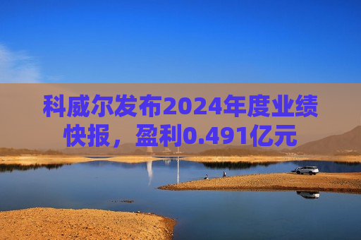 科威尔发布2024年度业绩快报，盈利0.491亿元  第1张