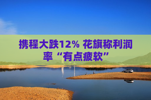 携程大跌12% 花旗称利润率“有点疲软”