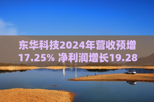 东华科技2024年营收预增17.25% 净利润增长19.28%