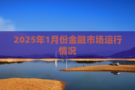 2025年1月份金融市场运行情况