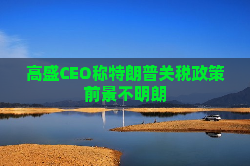 高盛CEO称特朗普关税政策前景不明朗